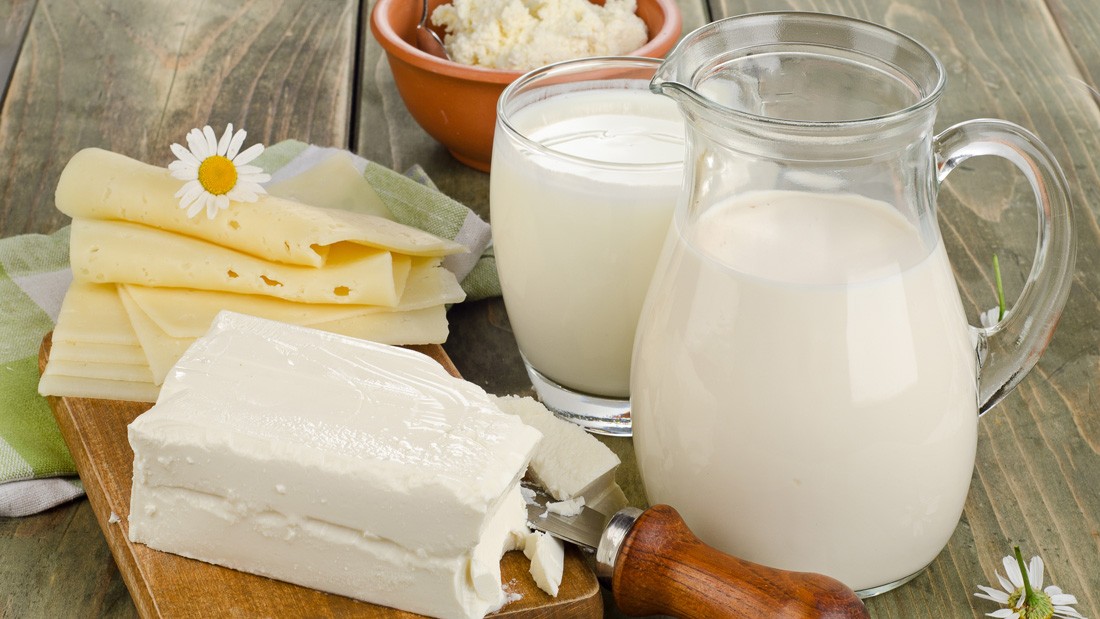 Süt ve peynir üretimi